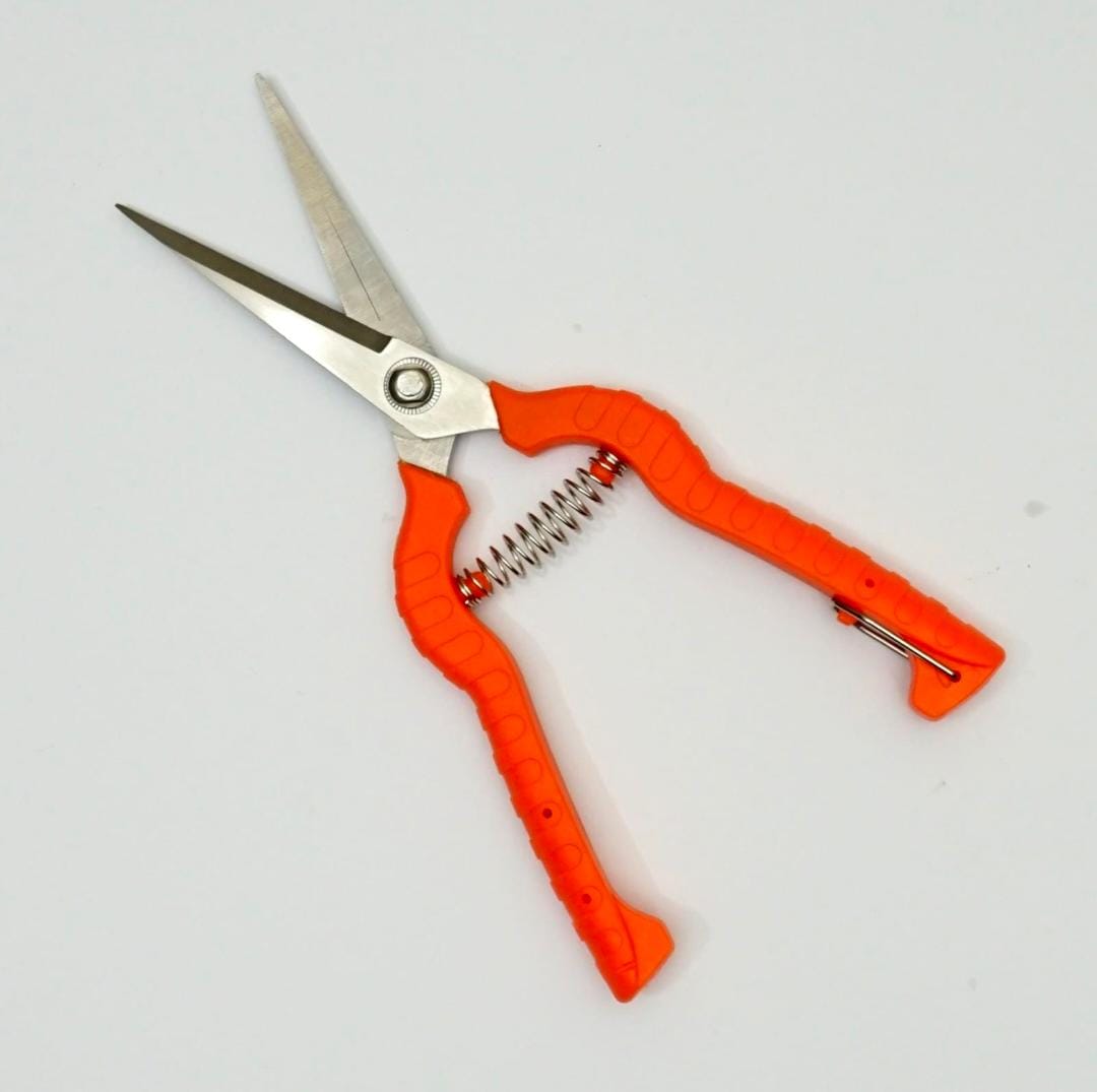Hand Pruner DNO