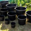 Plastic pots - black pots - پلاسٹک کے گملے