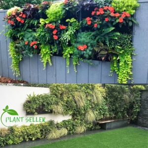 Make a look to your wall design